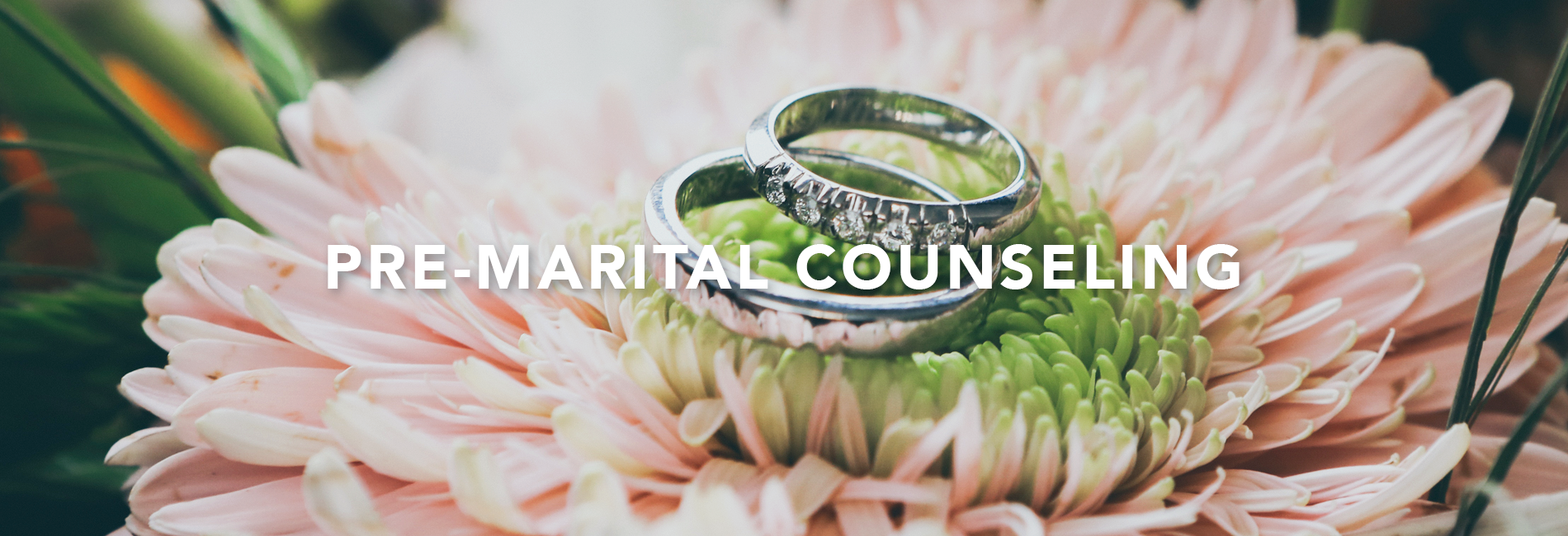 premarital_counseling_header_image2.png